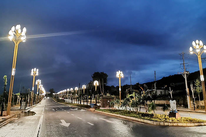 Zlatna luka za vitalnost Nayun